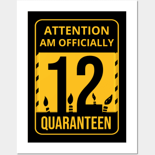 12th Birthday Officially a Quaranteen 12 Years Old Posters and Art